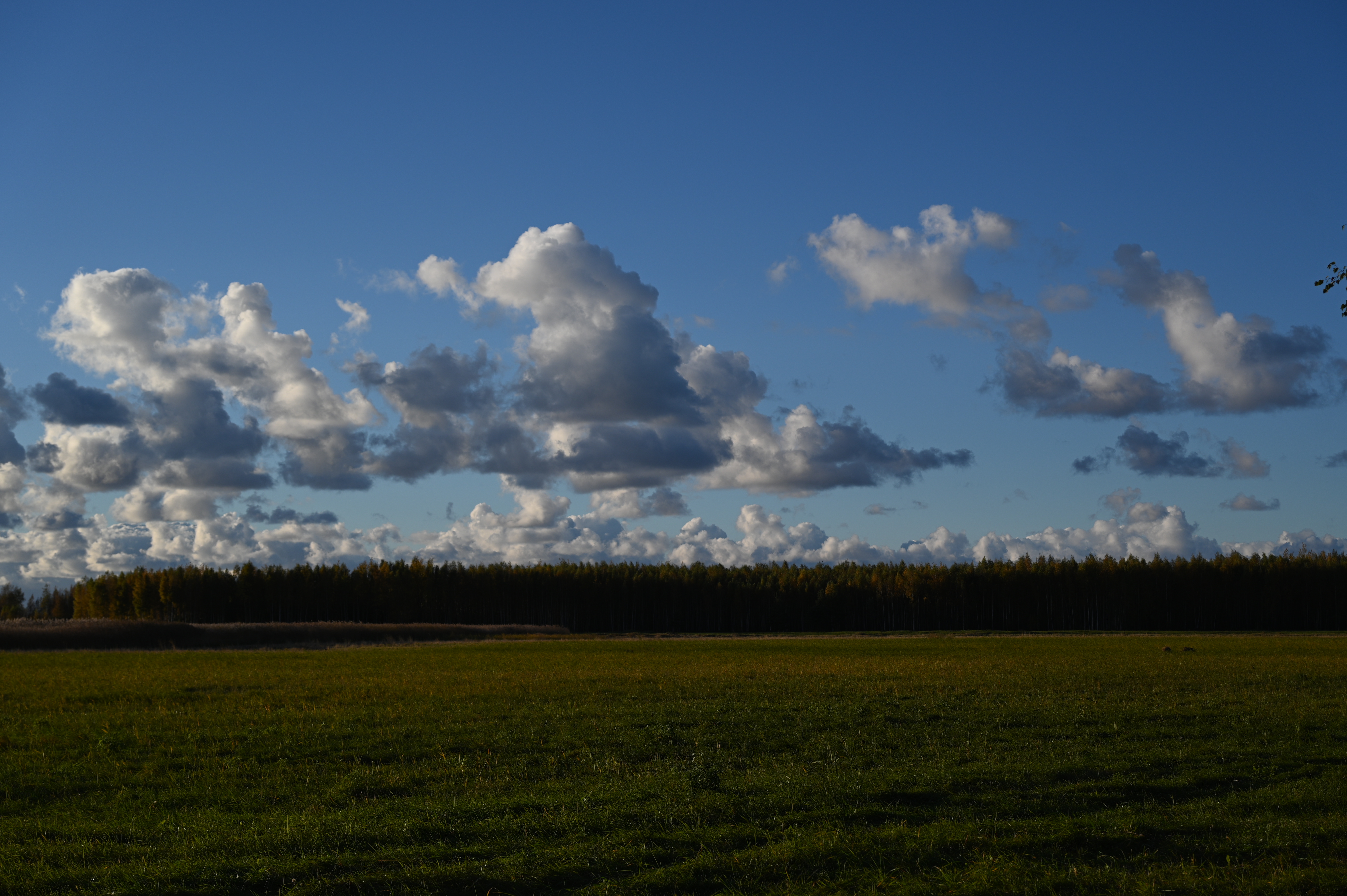 2025/10/18 - walk/DSC_0154.JPG